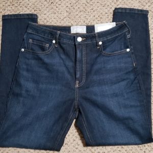 Everlane Curvy High Waisted Skinny Jean